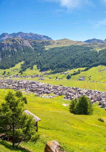 Le 10 COSE DA FARE a Livigno in estate